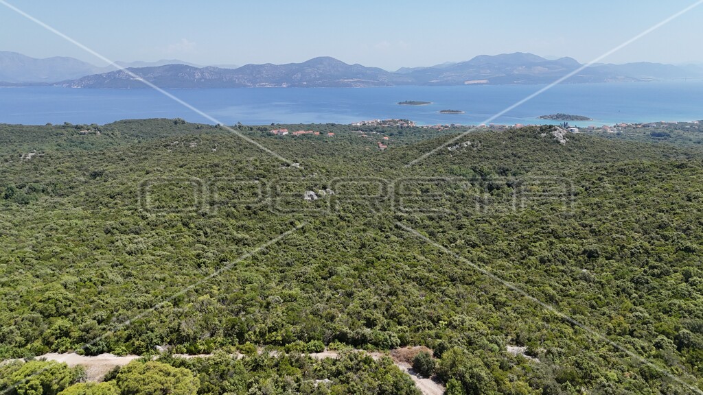 Image 6157828 - 7