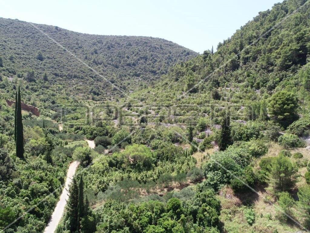 Image 6157830 - 7
