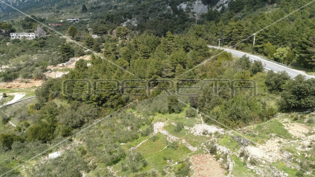 Image 6157833 - 11