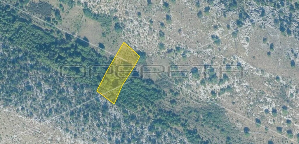 Image 6157839 - 3
