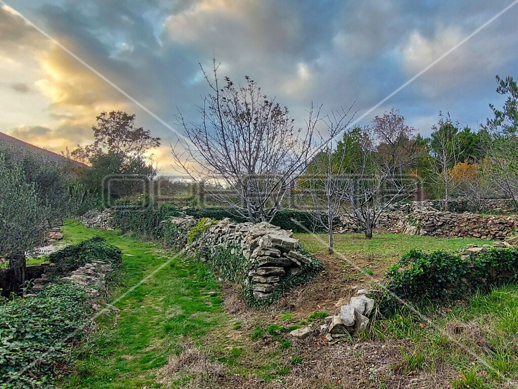 Image 6157840 - 17