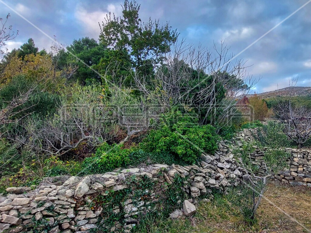 Image 6157840 - 12