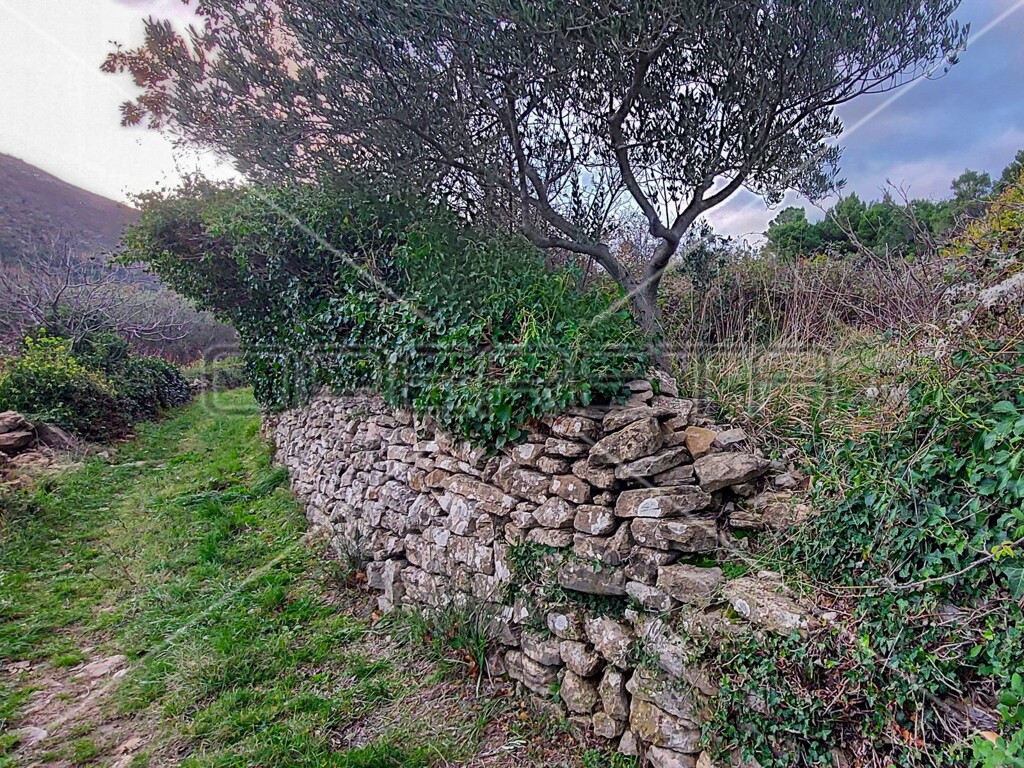 Image 6157840 - 18