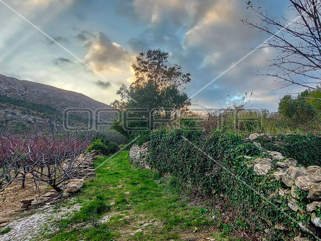Image 6157840 - 5