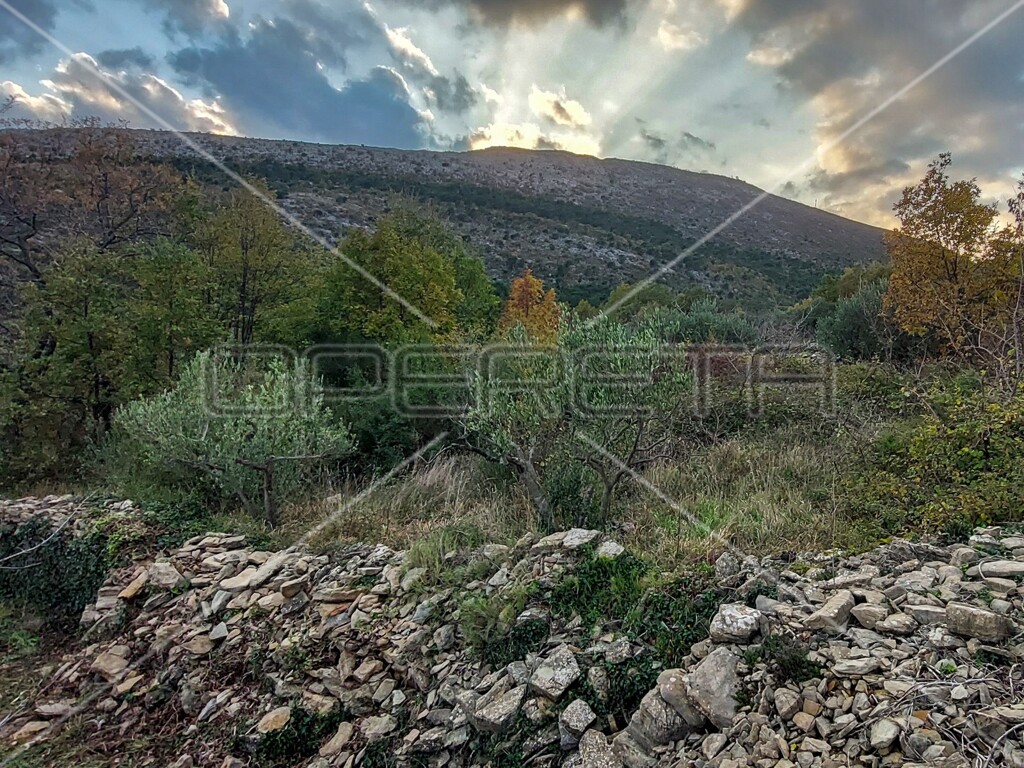 Image 6157840 - 16