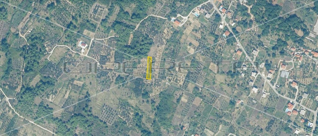Image 6157840 - 10