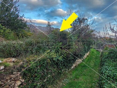 Thumbnail 6157840 - 8