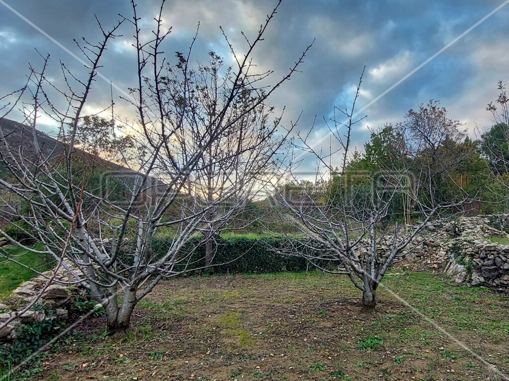 Image 6157840 - 14