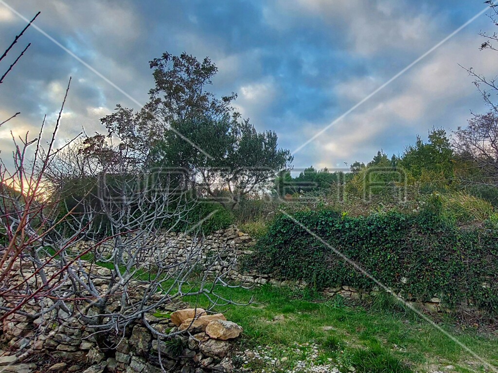 Image 6157840 - 13