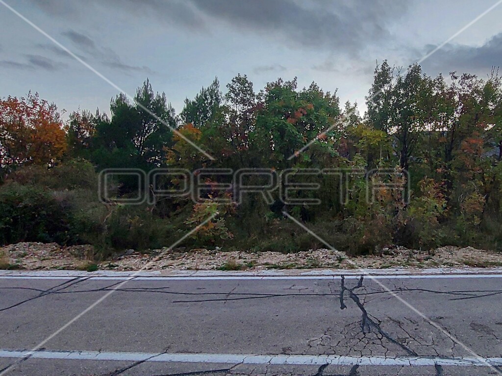 Image 6157841 - 6
