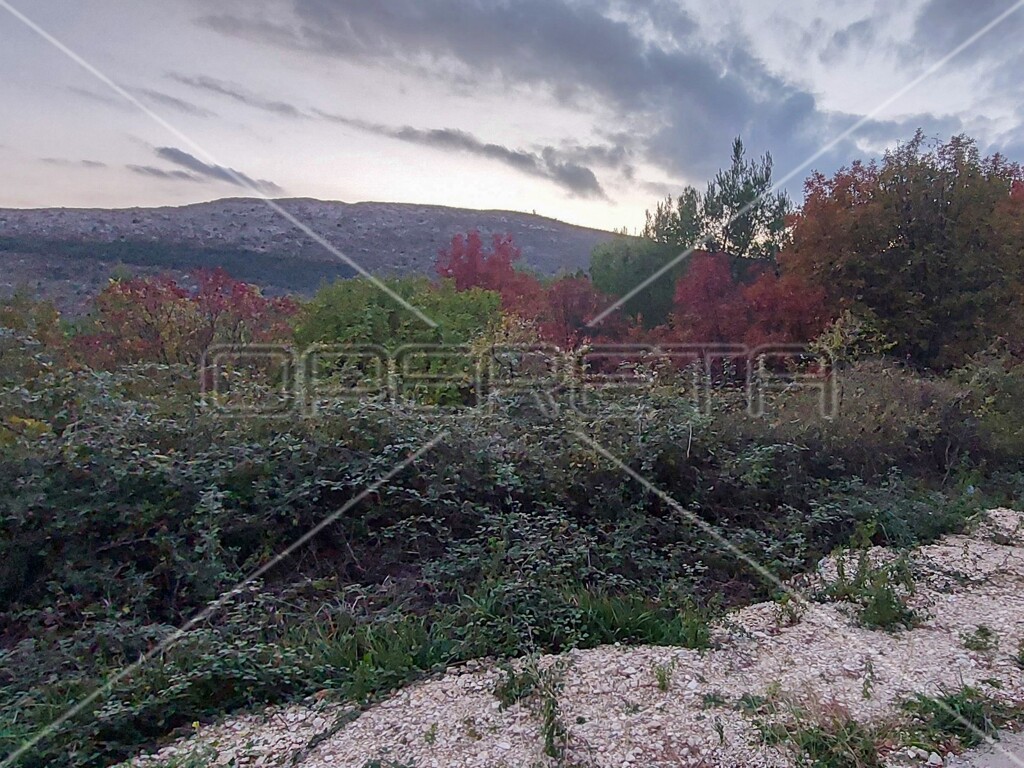 Image 6157841 - 11