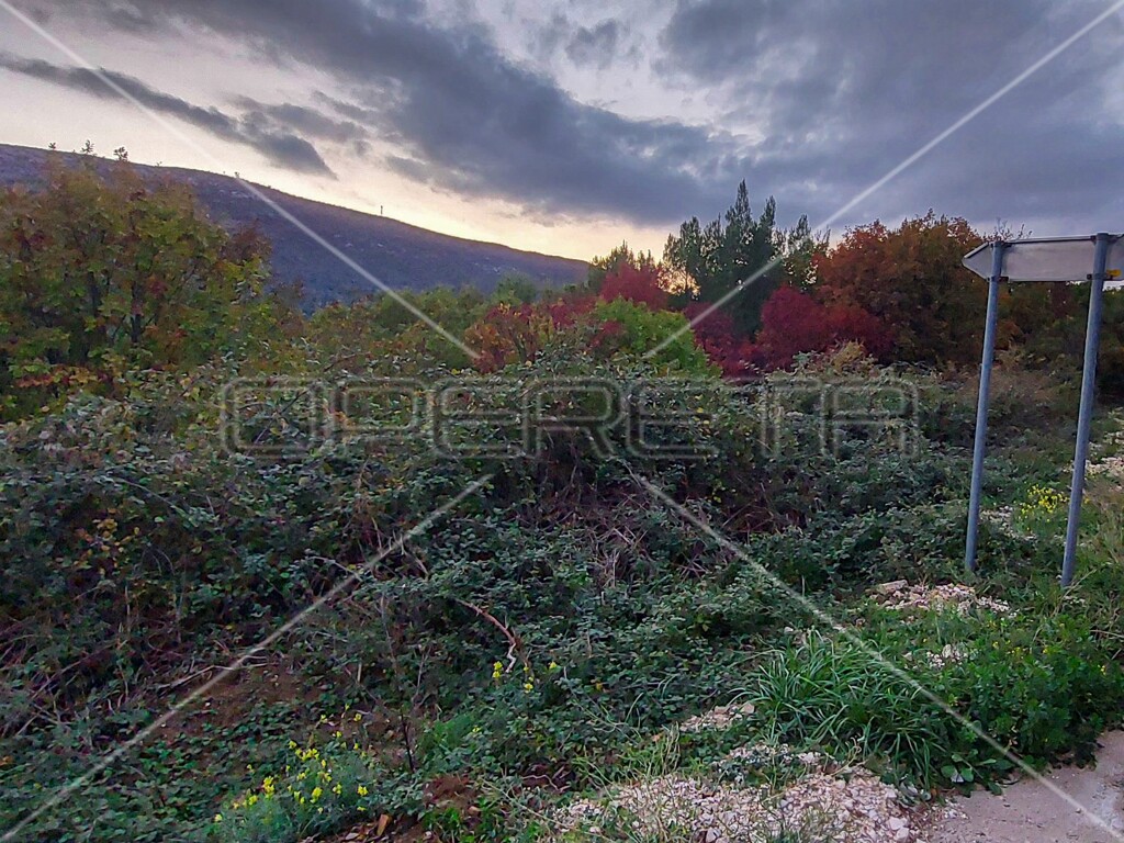 Image 6157841 - 18