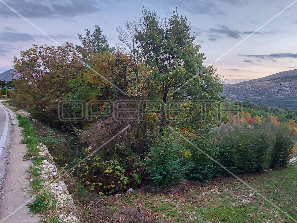Image 6157841 - 16