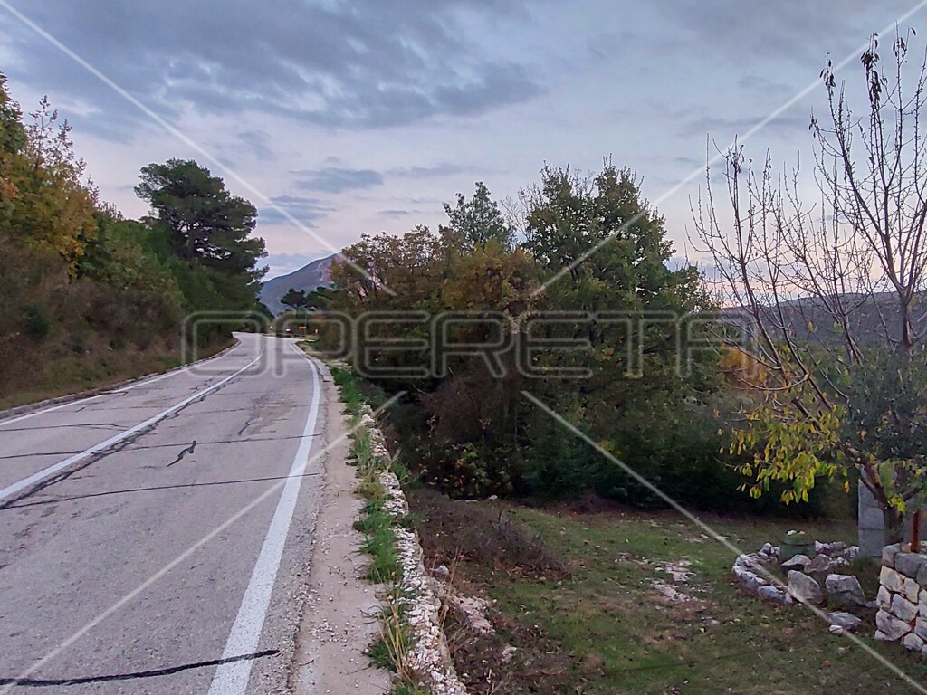 Image 6157841 - 4