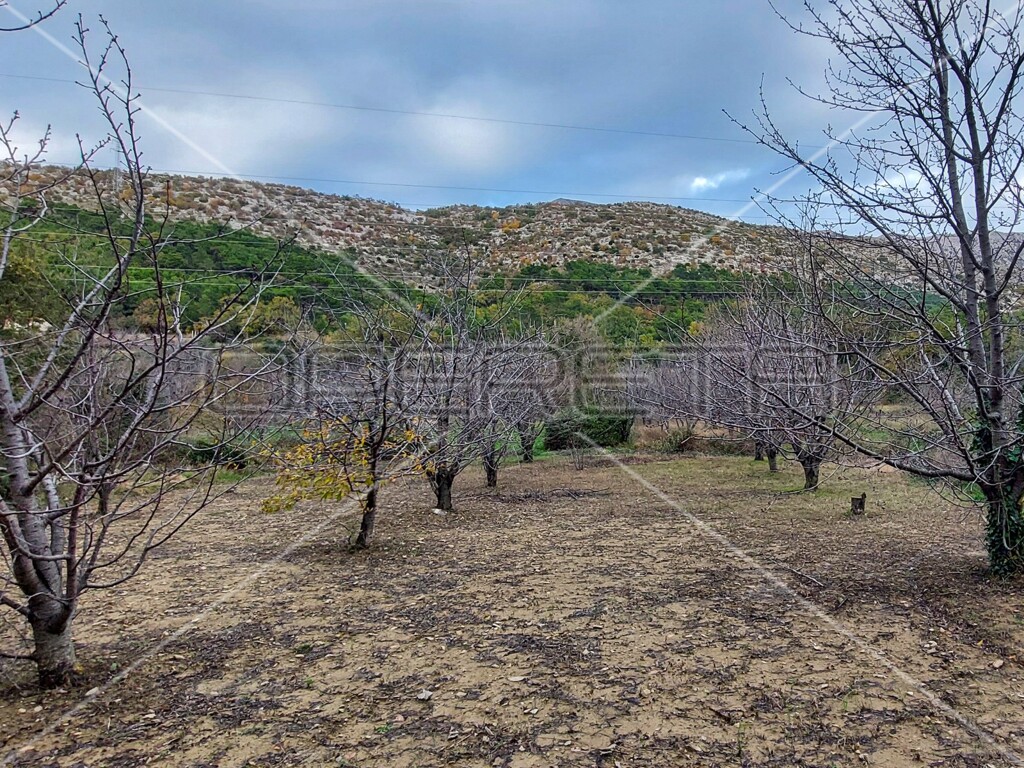 Image 6157842 - 14