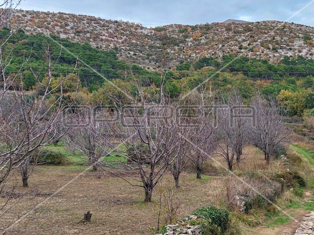 Image 6157842 - 5