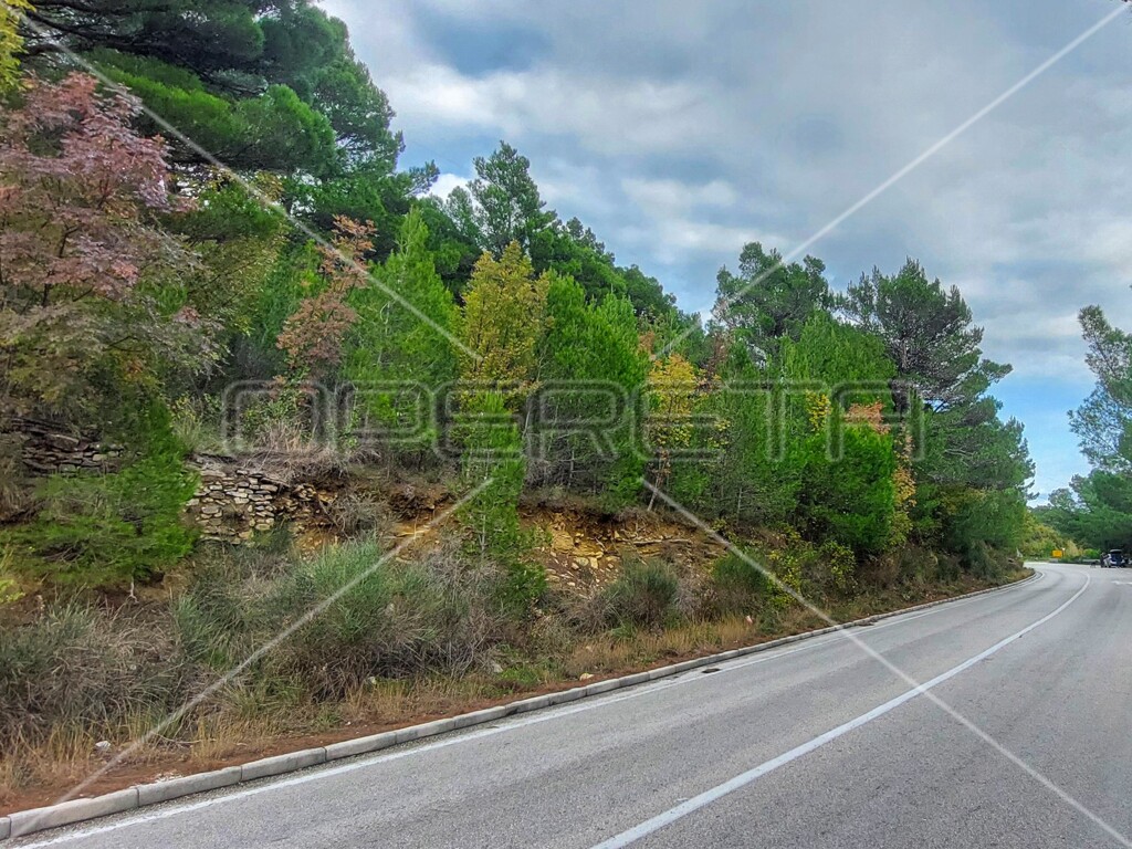 Image 6157843 - 10