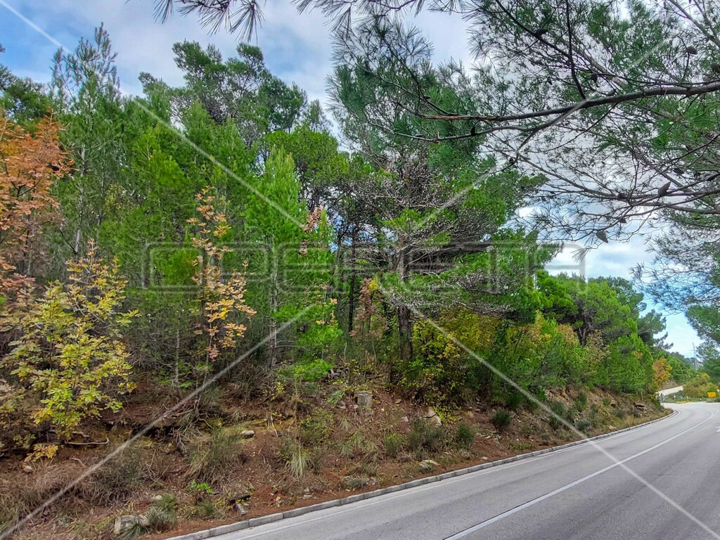 Image 6157843 - 7