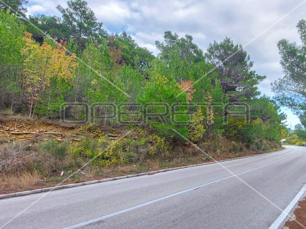 Image 6157843 - 8