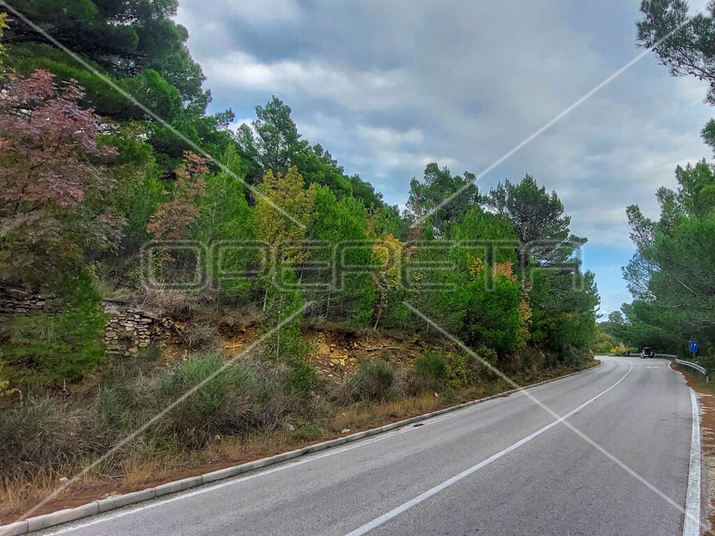 Image 6157843 - 11