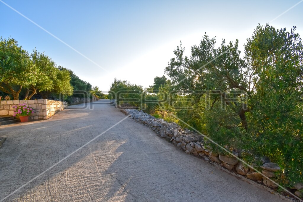 Image 6157846 - 16