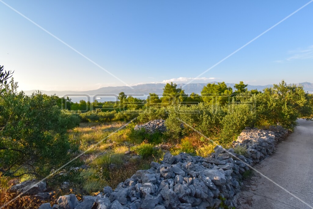 Image 6157846 - 17