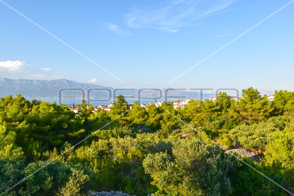 Image 6157846 - 10