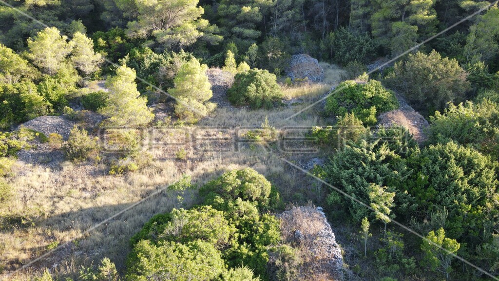 Image 6157847 - 18