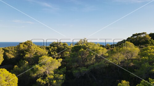 Zemljište 4.105 m2, pravilan oblik i otovoren pogled na more, otok Vis