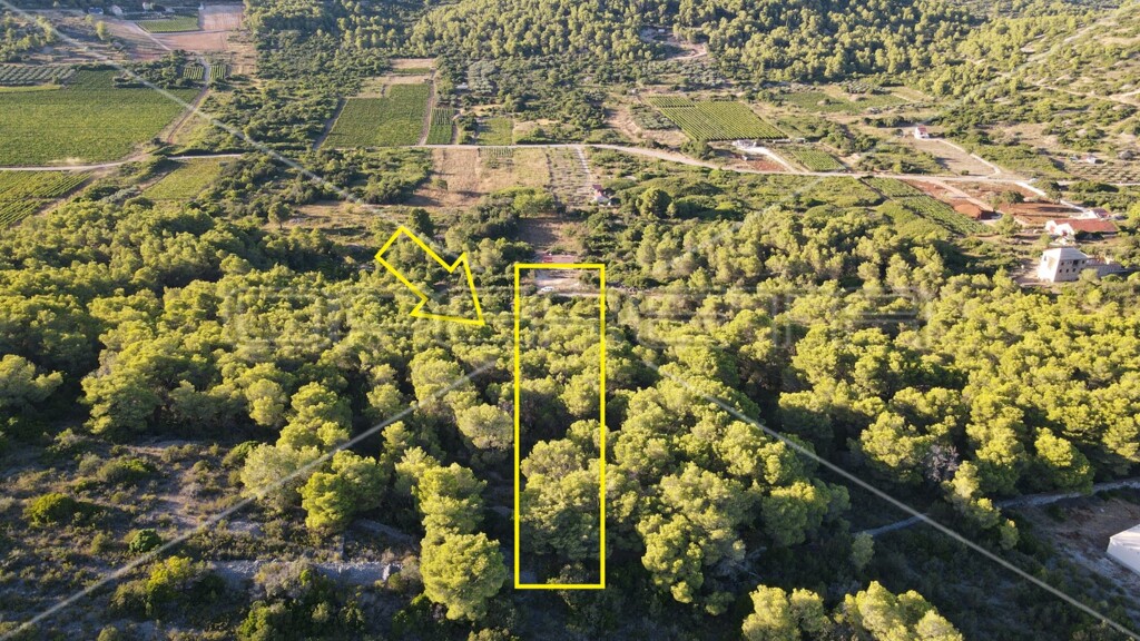 Image 6157847 - 3