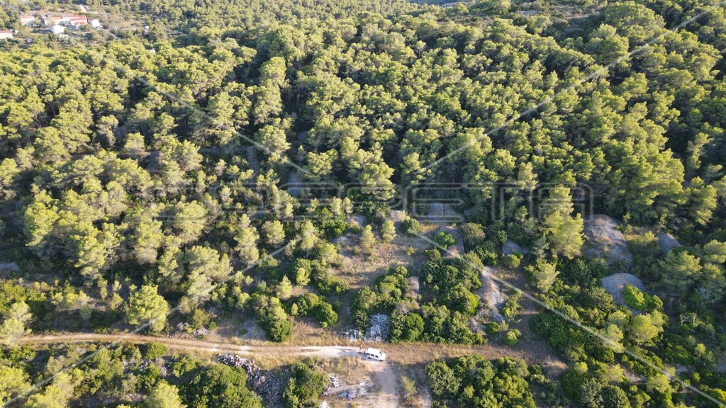 Image 6157847 - 19