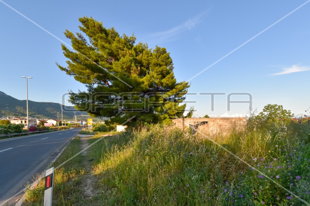 Image 6157848 - 12