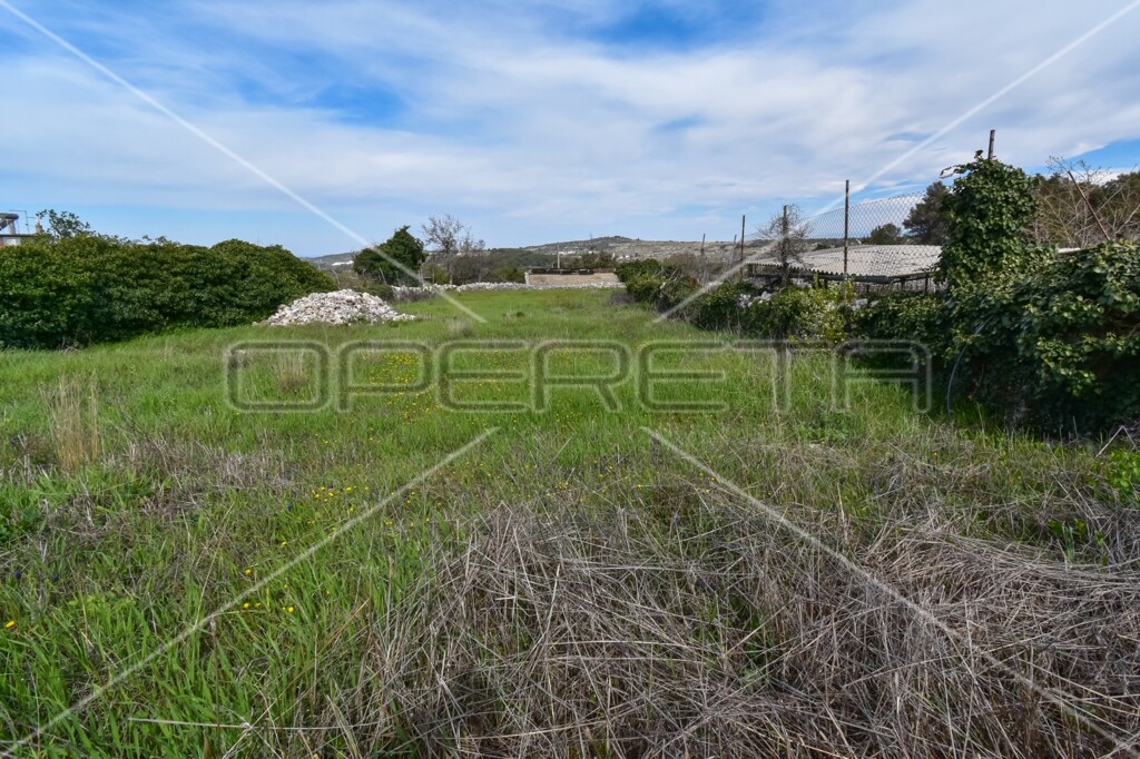 Image 6157850 - 9