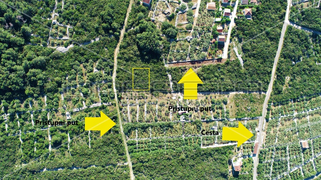 Image 6157852 - 6