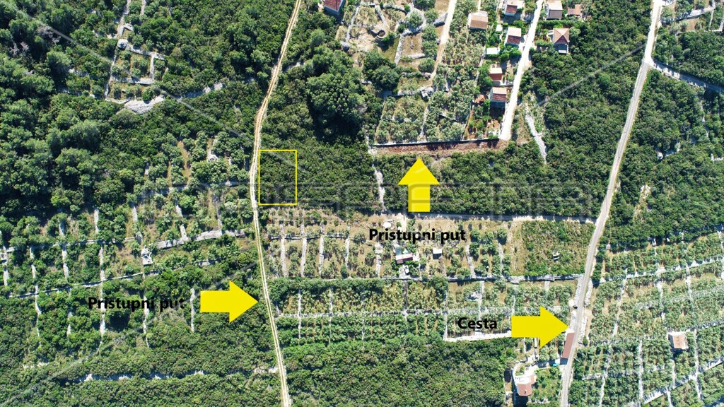 Image 6157853 - 3