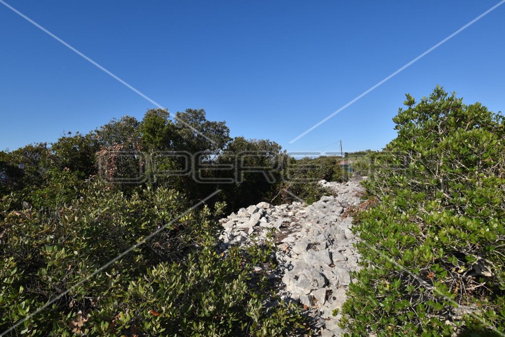 Image 6157854 - 12