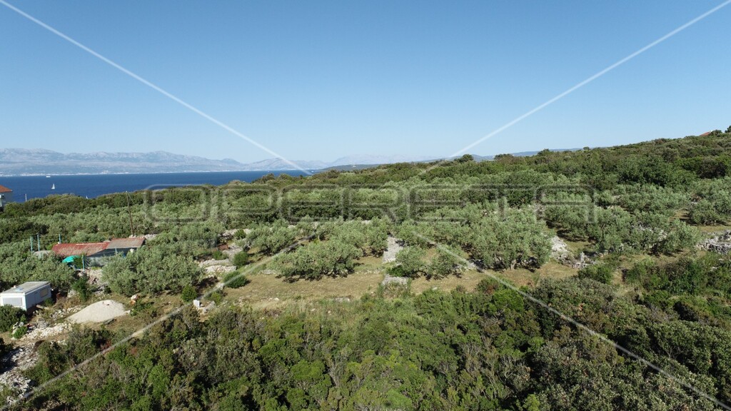 Image 6157854 - 6