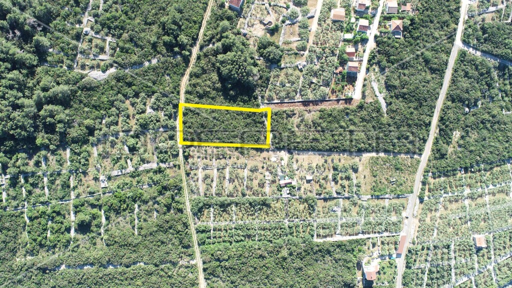 Image 6157854 - 3