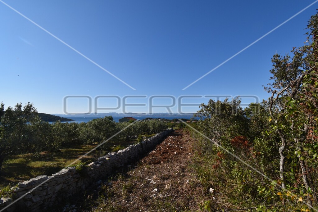 Image 6157854 - 9