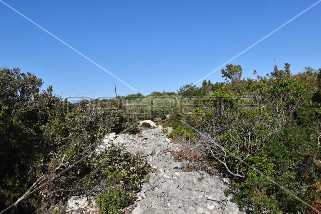 Image 6157854 - 11