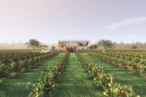 Istra, predivno zemljište 26.700 m2 pogodno za vinograd sa vinskim podrumom