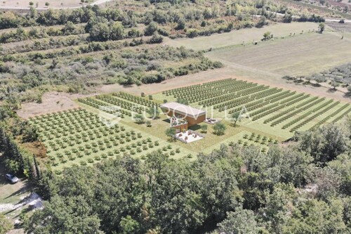 Istra, predivno zemljište 26.700 m2 pogodno za vinograd sa vinskim podrumom