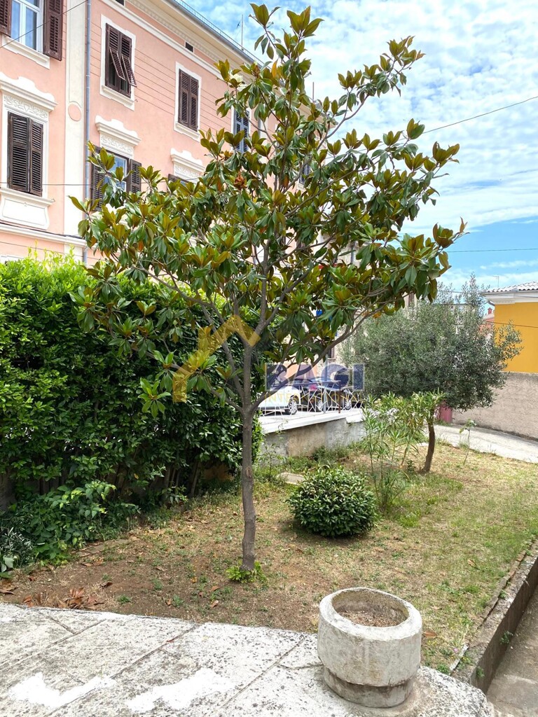 Image 6158793 - 19