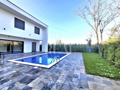 Thumbnail 6158833 - 4