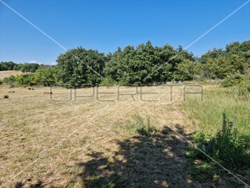 Istra, Marčana, građevinsko zemljište 1112 m2 poslovne namjene sa građevi...