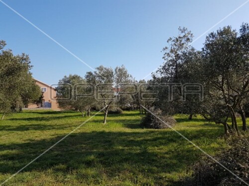 Sukošan, Sukošan, 961,00 m2, 307.000,00 EUR