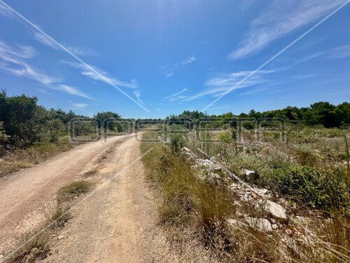 Thumbnail 6158951 - 4