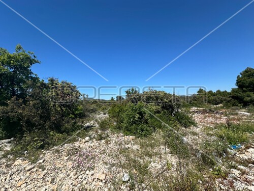 Thumbnail 6158956 - 5