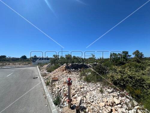 Thumbnail 6158956 - 3