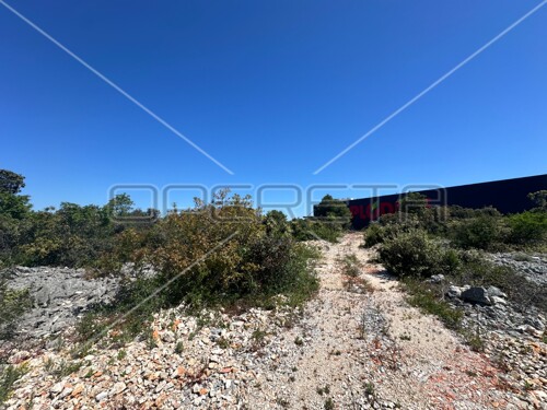 Thumbnail 6158956 - 4